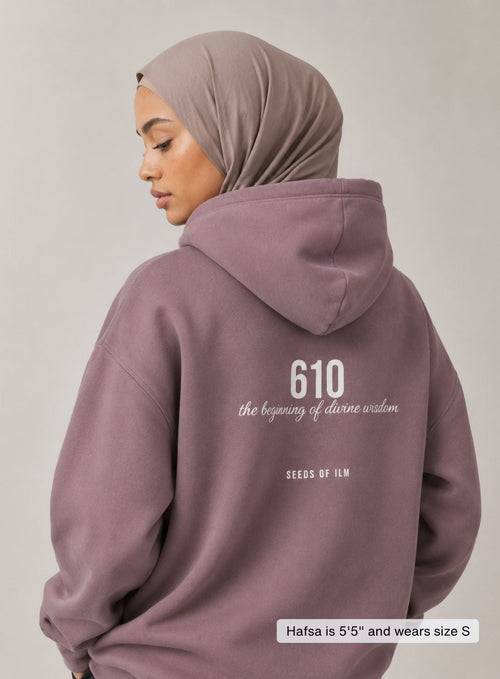 610 HOODIE — image 2
