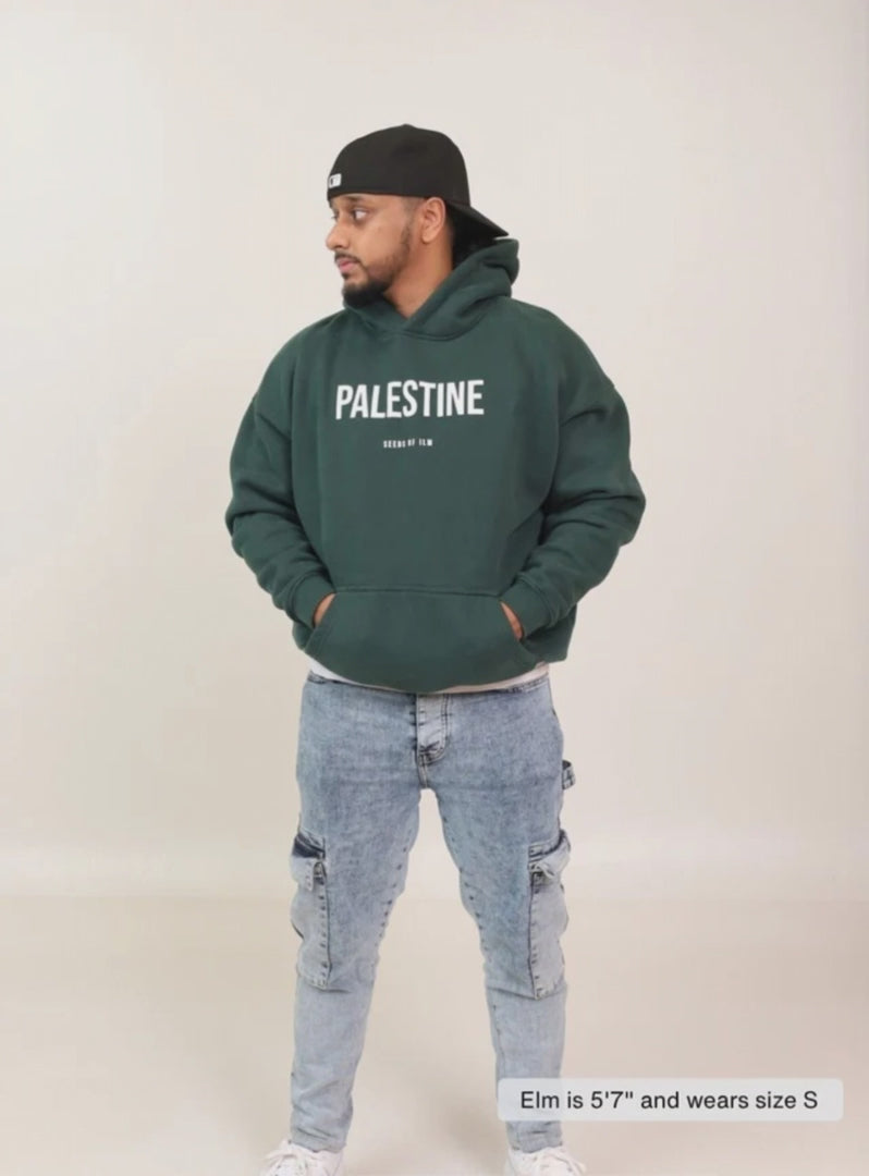 PALESTINE HOODIE